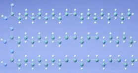 Fat Composition Affects T Cell-Mediated Immunity