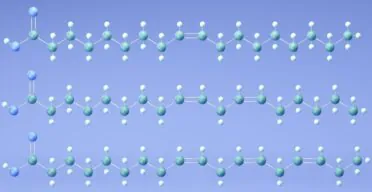 Fat Composition Affects T Cell-Mediated Immunity