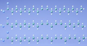 Fat Composition Affects T Cell-Mediated Immunity