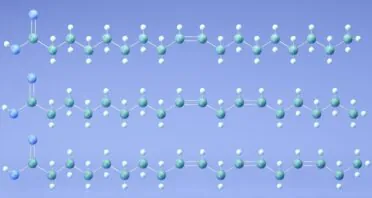 Fat Composition Affects T Cell-Mediated Immunity