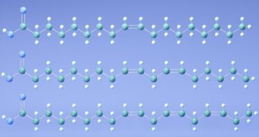 Fat Composition Affects T Cell-Mediated Immunity