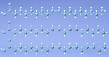 Fat Composition Affects T Cell-Mediated Immunity