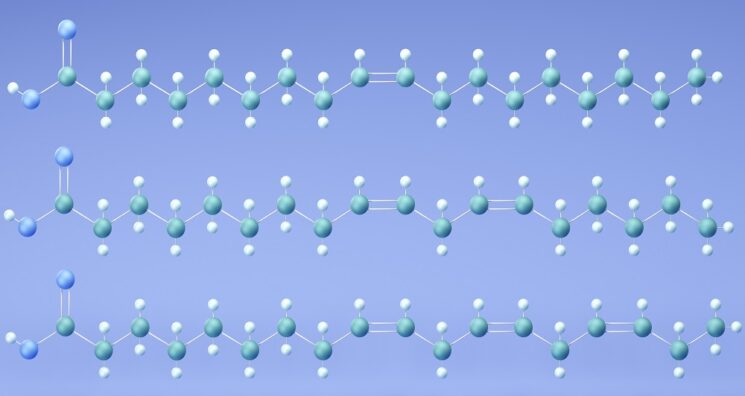 Fat Composition Affects T Cell-Mediated Immunity