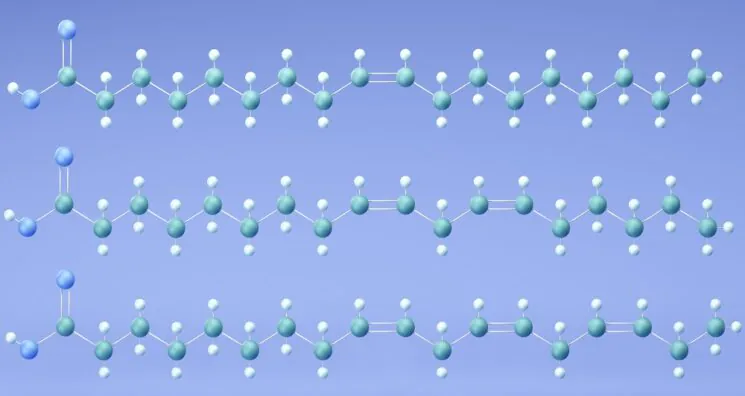 Fat Composition Affects T Cell-Mediated Immunity