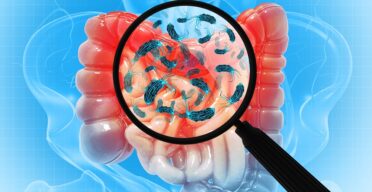 Study Links a Gut Bacterium to Increased Muscle Strength