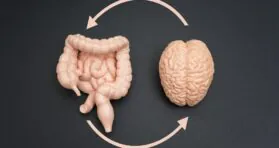 Gut Bacteria Might Affect Cognition via the Vagus Nerve