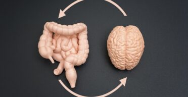 Gut Bacteria Might Affect Cognition via the Vagus Nerve