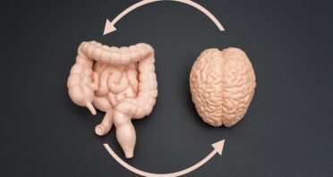 Gut Bacteria Might Affect Cognition via the Vagus Nerve