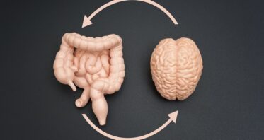Gut Bacteria Might Affect Cognition via the Vagus Nerve