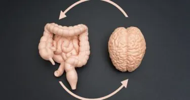 Gut Bacteria Might Affect Cognition via the Vagus Nerve