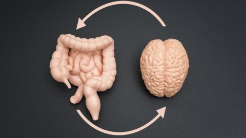 Gut-brain axis