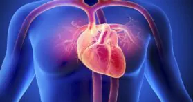 A Review of How the Heart Ages