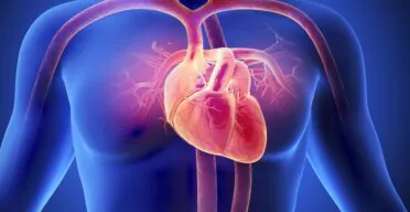 A Review of How the Heart Ages