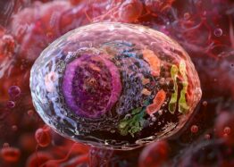 In Vivo Created CAR T Cells Eliminate Tumors in Mice