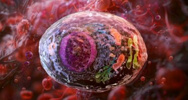 In Vivo Created CAR T Cells Eliminate Tumors in Mice