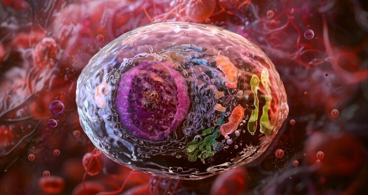 In Vivo Created CAR T Cells Eliminate Tumors in Mice