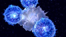 Immune cells