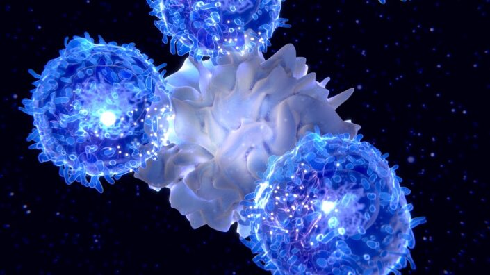 Immune cells