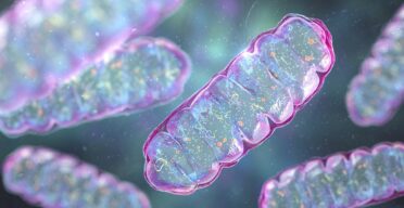 Mitochondria Delivery Method Rescues Parkinson’s in Mice