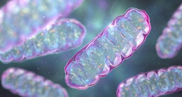 Mitochondria Delivery Method Rescues Parkinson’s in Mice