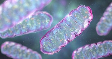 Mitochondria Delivery Method Rescues Parkinson’s in Mice