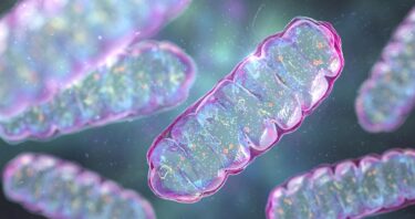 Mitochondria Delivery Method Rescues Parkinson’s in Mice