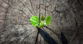 People With Positive Outlooks Have Better Aging Outcomes