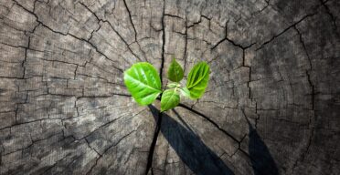 People With Positive Outlooks Have Better Aging Outcomes