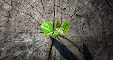 People With Positive Outlooks Have Better Aging Outcomes