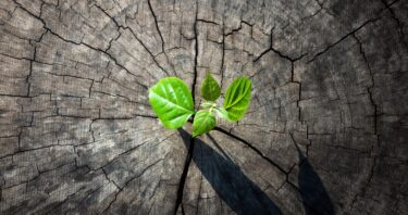 People With Positive Outlooks Have Better Aging Outcomes