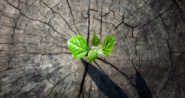 People With Positive Outlooks Have Better Aging Outcomes