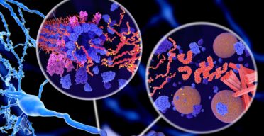 Using mRNA to Fight Tau Aggregation in Alzheimer’s