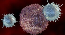 The Immune System Ages Differently in Men and Women