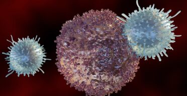 The Immune System Ages Differently in Men and Women