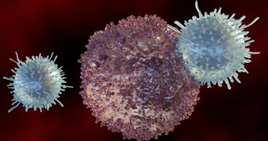 The Immune System Ages Differently in Men and Women