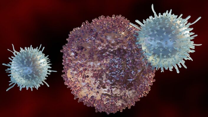 Active immune cells