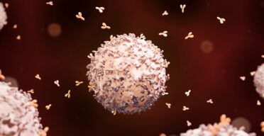 Engineered Stem Cells Become Lifelong Protein Factories