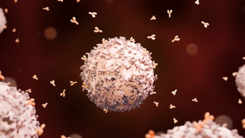 B cell releasing antibodies