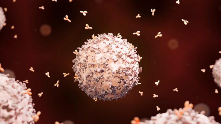 B cell releasing antibodies