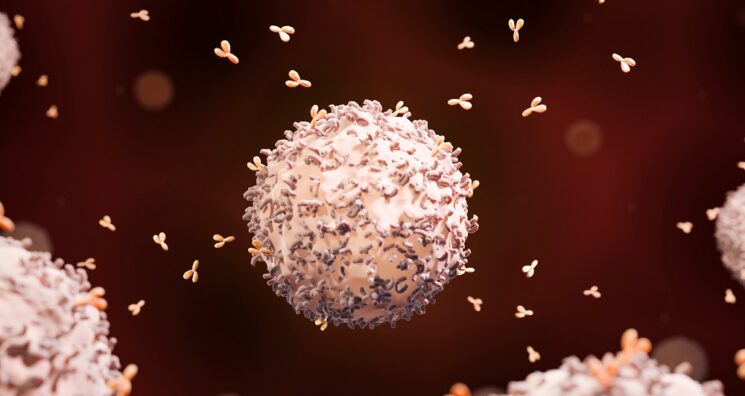 Engineered Stem Cells Become Lifelong Protein Factories