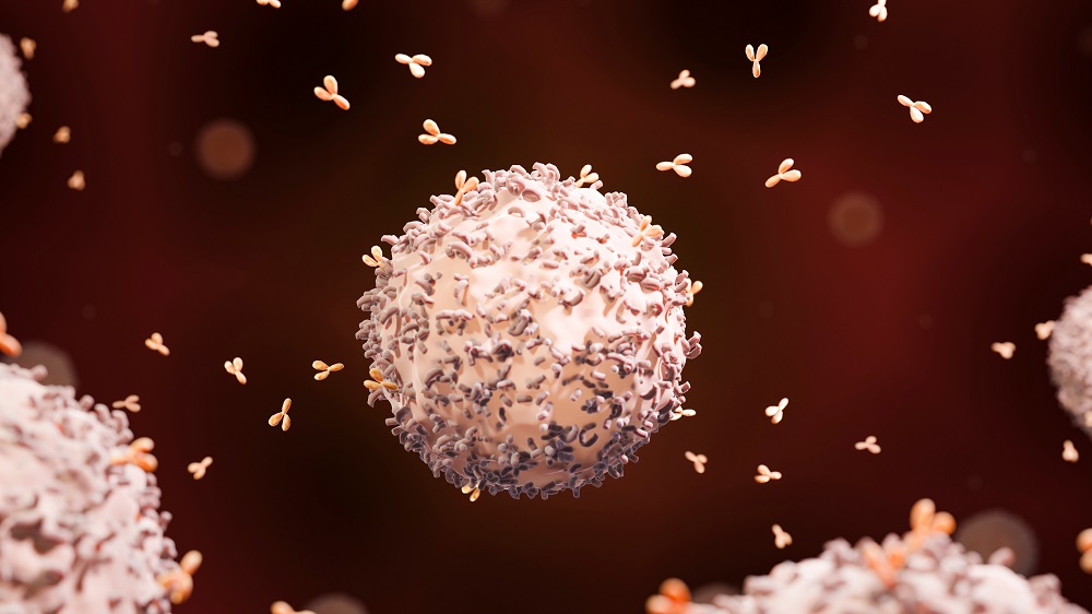 B cell releasing antibodies