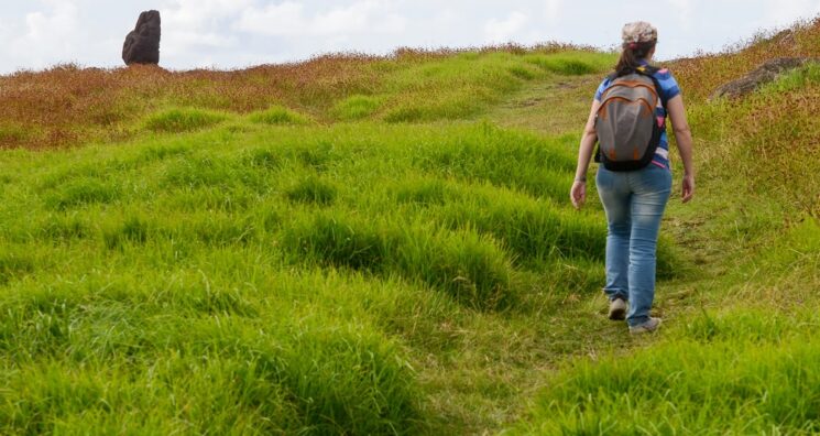 Rapamycin Might Blunt Exercise Response in Humans