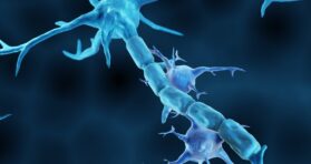 Affecting a Signaling Pathway Alleviates Alzheimer’s in Mice