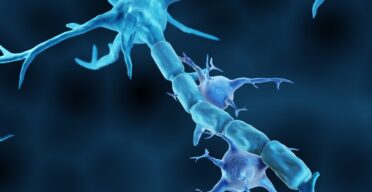 Affecting a Signaling Pathway Alleviates Alzheimer’s in Mice