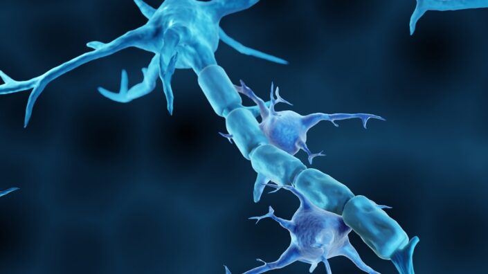 Microglia among neurons