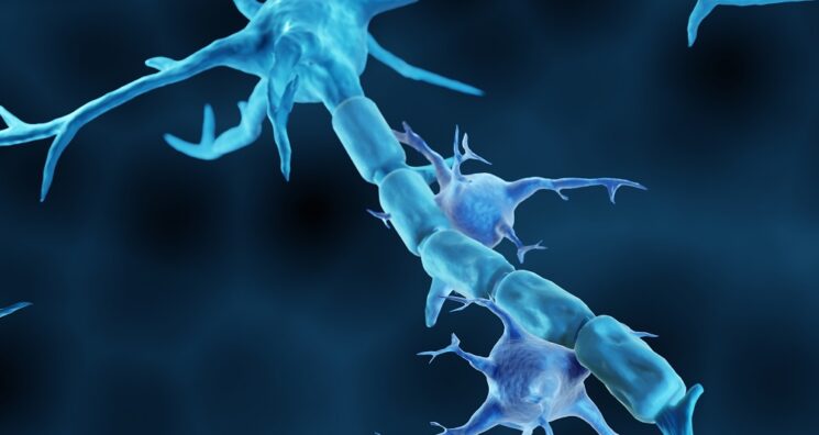 Affecting a Signaling Pathway Alleviates Alzheimer’s in Mice