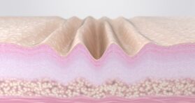 Why Fast-Cycling Skin Cells Decrease With Age