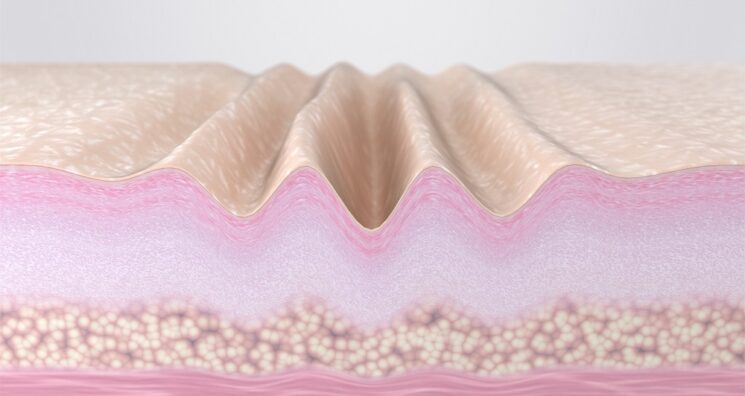 Why Fast-Cycling Skin Cells Decrease With Age