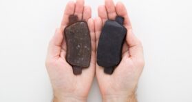 Some Researchers Choose Replacement Over Repair in Aging