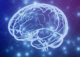 Tau Protein Is Crucial for Encoding Long-Term Memory